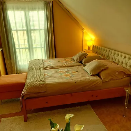 Dora زلاكاروس