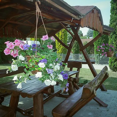 Dora زلاكاروس